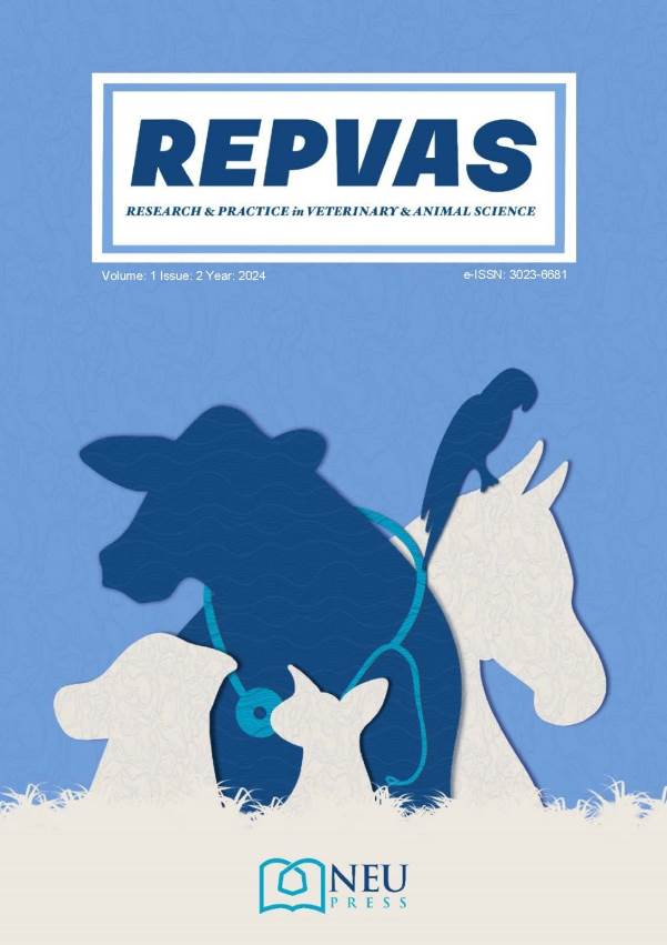REPVAS — غلاف المجلة